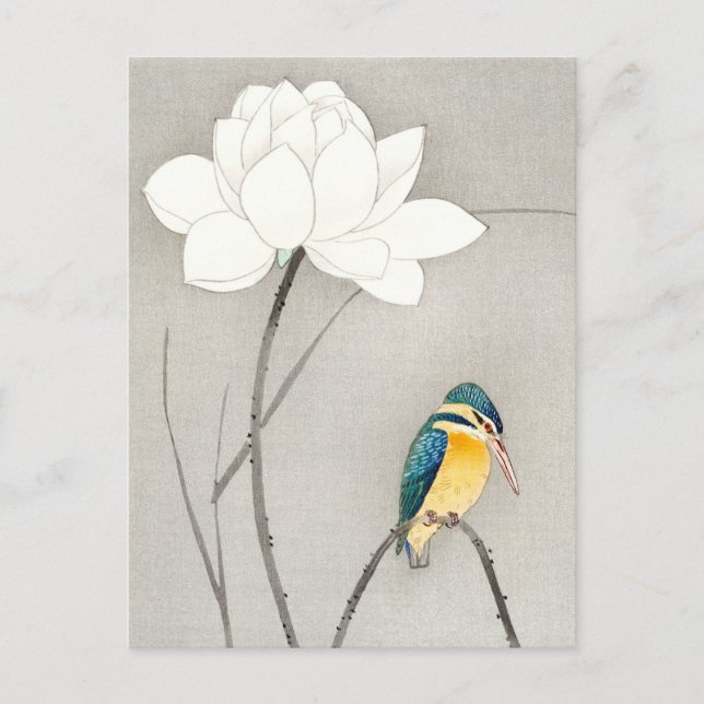 Kingfisher with Lotus Flower Ohara Koson enlarged  Postcard (Front)