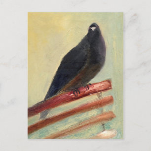 Kingly Court Pigeon 2013 Postcard