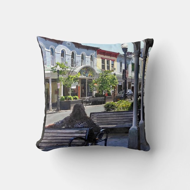 Kingston NY - Relaxing on N Front St Throw Pillow (Front)