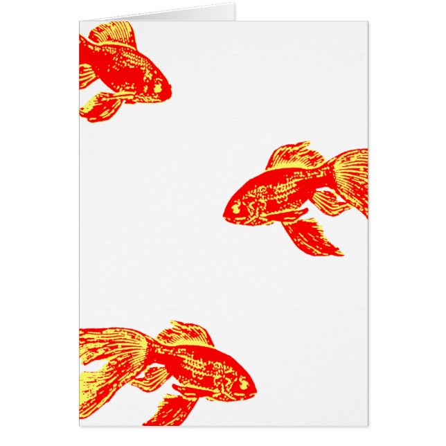 kingyo rouge (Devant)