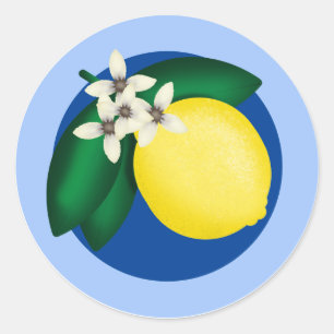 KiniArt Lemon Classic Round Sticker