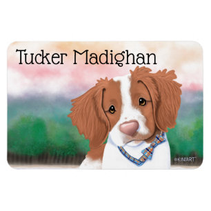 KiniArt Orange Brittany Magnet