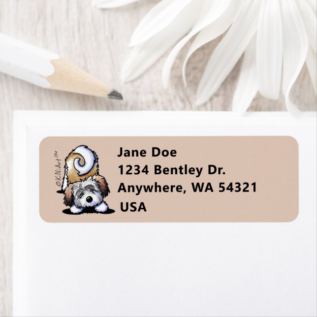 KiniArt Playful Havanese (Insitu)