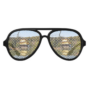 Kinkaku-ji 金閣寺 Temple of the Golden Pavilion Aviator Sunglasses