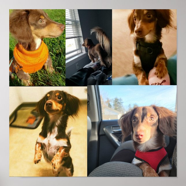 Kio's cute pictures poster (Front)