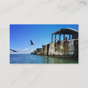 kiptopeke concrete ships and seagulls business card