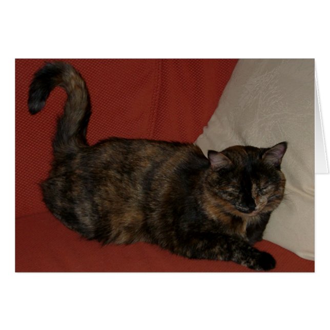 Kira 01 (Devant horizontal)