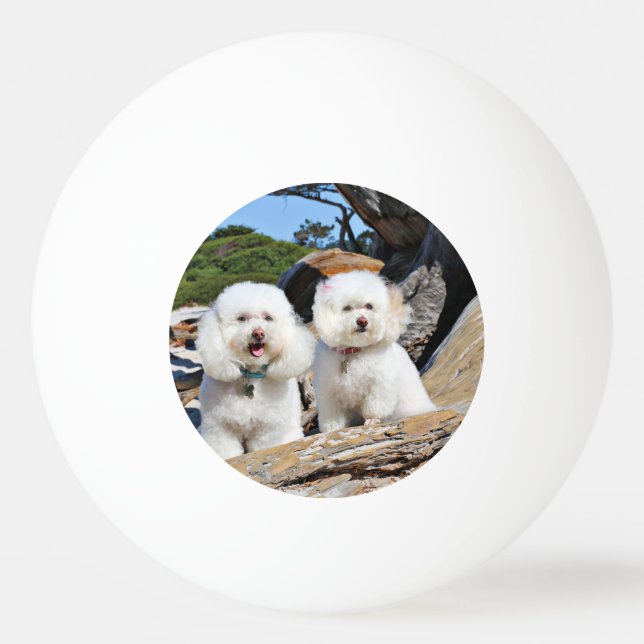 Kirby Shelby - Poodles on Carmel Beach Ping Pong Ball (Front)