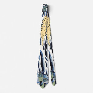 Kirifuri waterfall near Kurokami mountain Housai   Tie