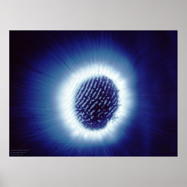 Kirlian Photo of Finger Tip Poster (Front)