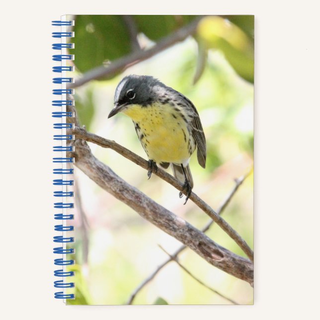 Kirtland's Warbler spiral bound bullet journal (Recto)