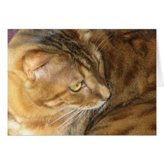 Kishka scintillant en or