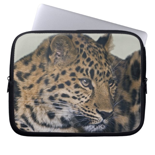 Kiska Laptop Sleeve (Front)