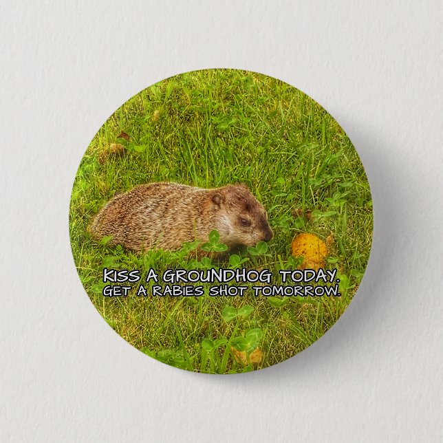 Kiss a groundhog today. Get a rabies shot button (Front)