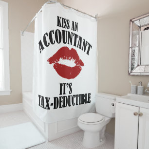 kiss an accountant funny CPA