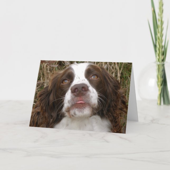 Kiss - English Springer Spaniel Greeting Card (Front)