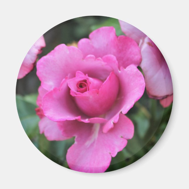Kiss from a Rose Magnet (Front)