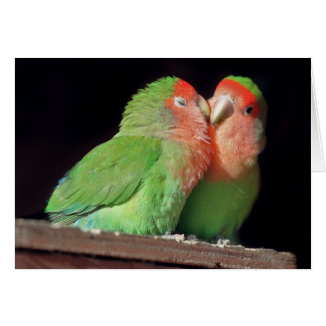 Kiss Me Card (Front Horizontal)