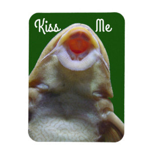 Kiss Me Fish Magnet