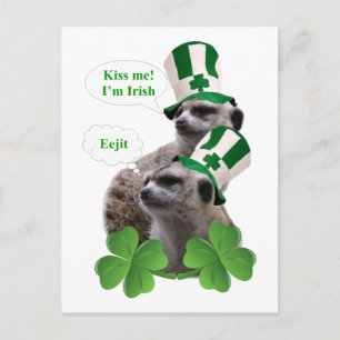 Kiss me I'm a Irish meerkat design Postcard