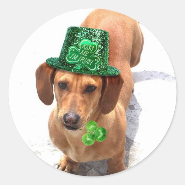 Kiss me I'm Irish Dachshund stickers (Front)
