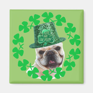 Kiss me I'm Irish French Bulldog magnet
