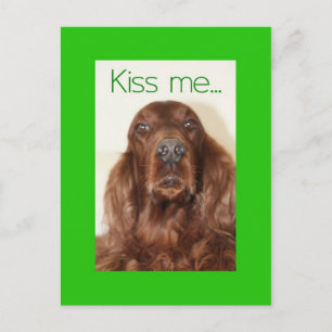 Kiss me....I'm Irish Postcard