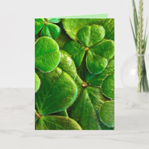 KISS ME I'M IRISH ST.PATRICK'S DAY ROMANTIC CARD