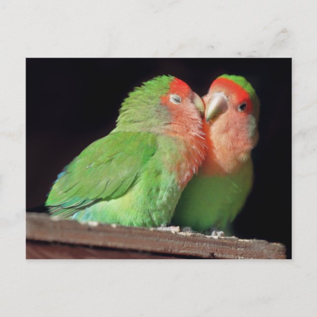 Kiss Me Postcard (Front)