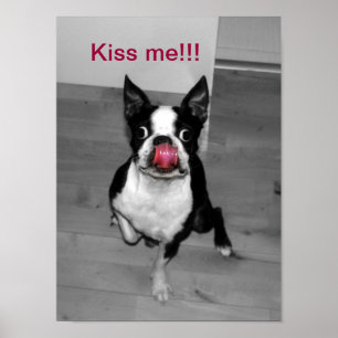 KISS ME POSTER