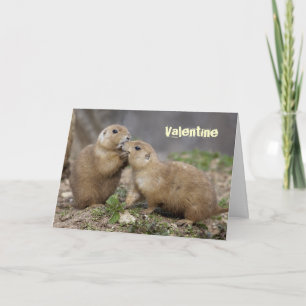 Kiss Me Quick Card - Valentine