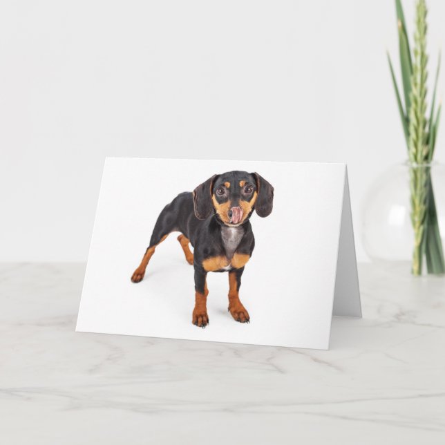 Kiss My Wiener Greeting Card (Front)