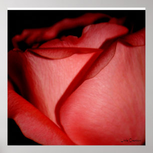 Kiss of Red Poster