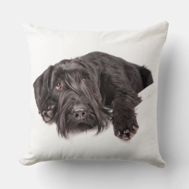 Kissen Riesenschnauzer Throw Pillow (Front)
