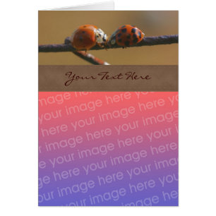Kisser Ladybugs Nature Votre Carte photo