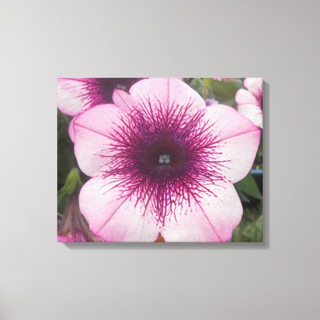 Kisses Canvas Print (Front)