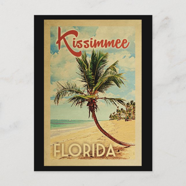 Kissimmee Palm Tree Vintage Travel Postcard (Front)