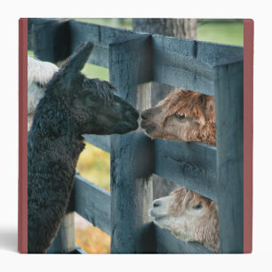 Kissing Alpaca Binder