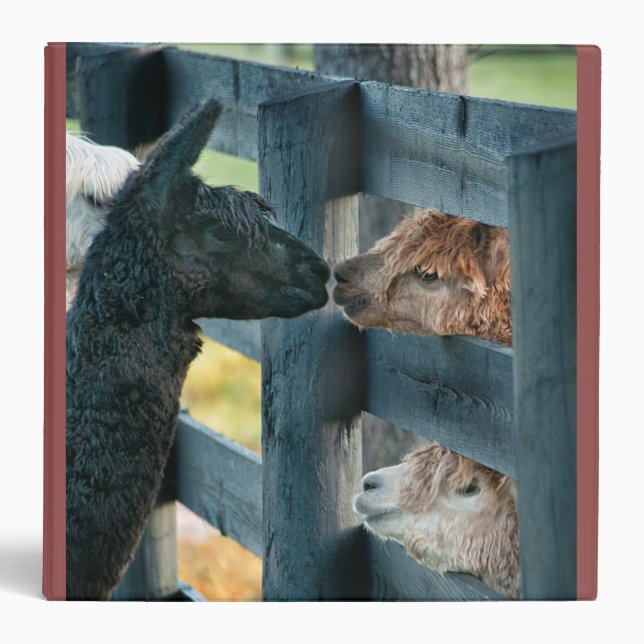 Kissing Alpaca Binder (Front)