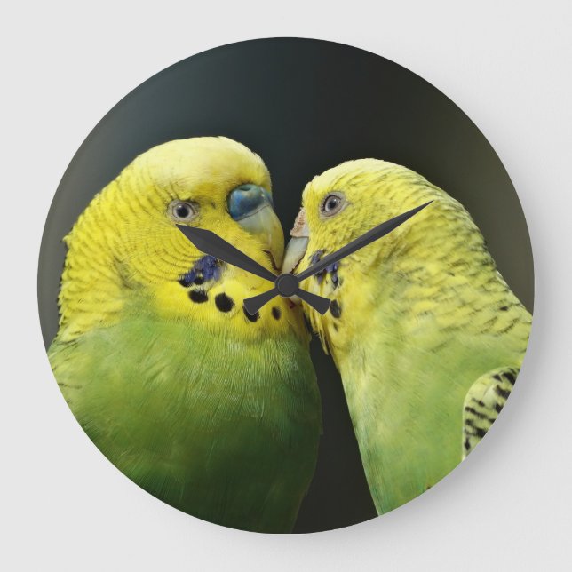 Kissing Budgie Parrot Bird Large Clock (Front)