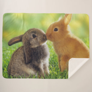 KISSING BUNNIES SHERPA BLANKET
