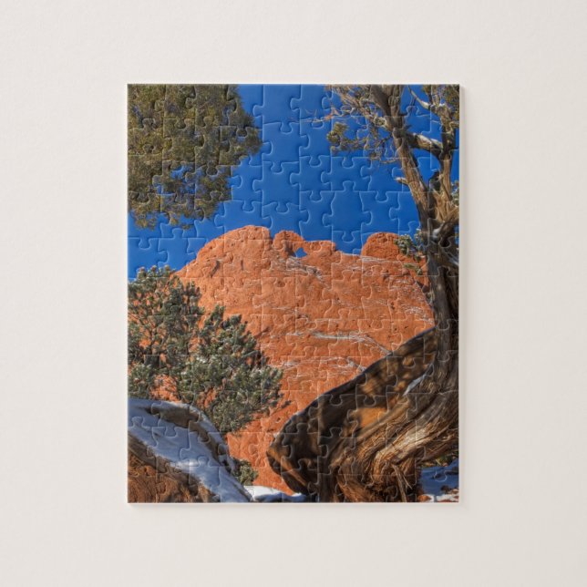 Kissing Camels Framed by Tree 01 Jigsaw Puzzle (Vertical)