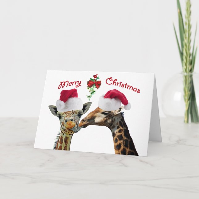 Kissing Christmas Giraffes Under Mistletoe Holiday Card (Front)