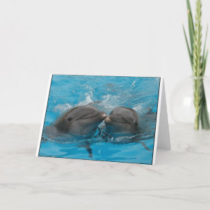 Kissing Dolphins Card