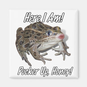 Kissing Frog - Pucker Up, Honey! Magnet
