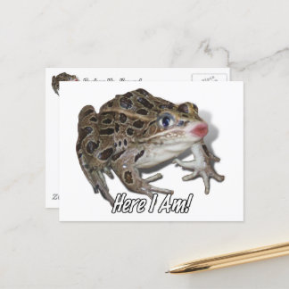 Kissing Frog - Pucker Up, Honey! Postcard