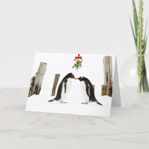 Kissing Gentoo penguins holiday card