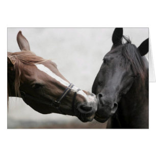 Kissing Horses