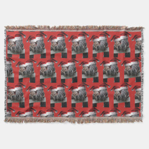 Kissing Horses wearing Santa Claus Hats Throw Blanket