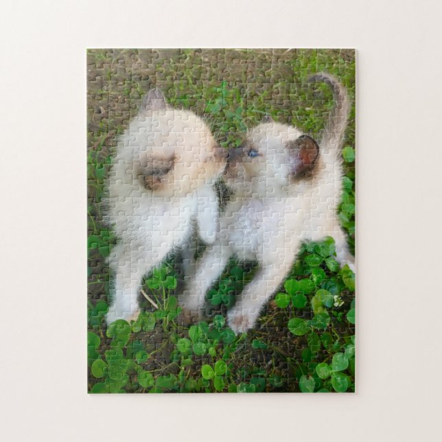 kissing kittens jigsaw puzzle (Vertical)